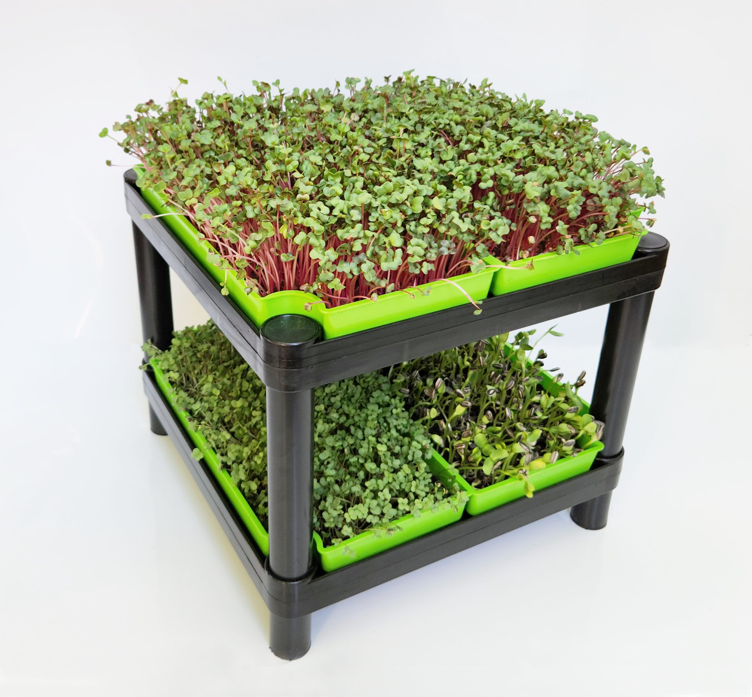 microgreens counter black