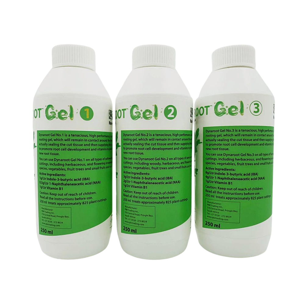 DynaRoot cloning gel 250ml