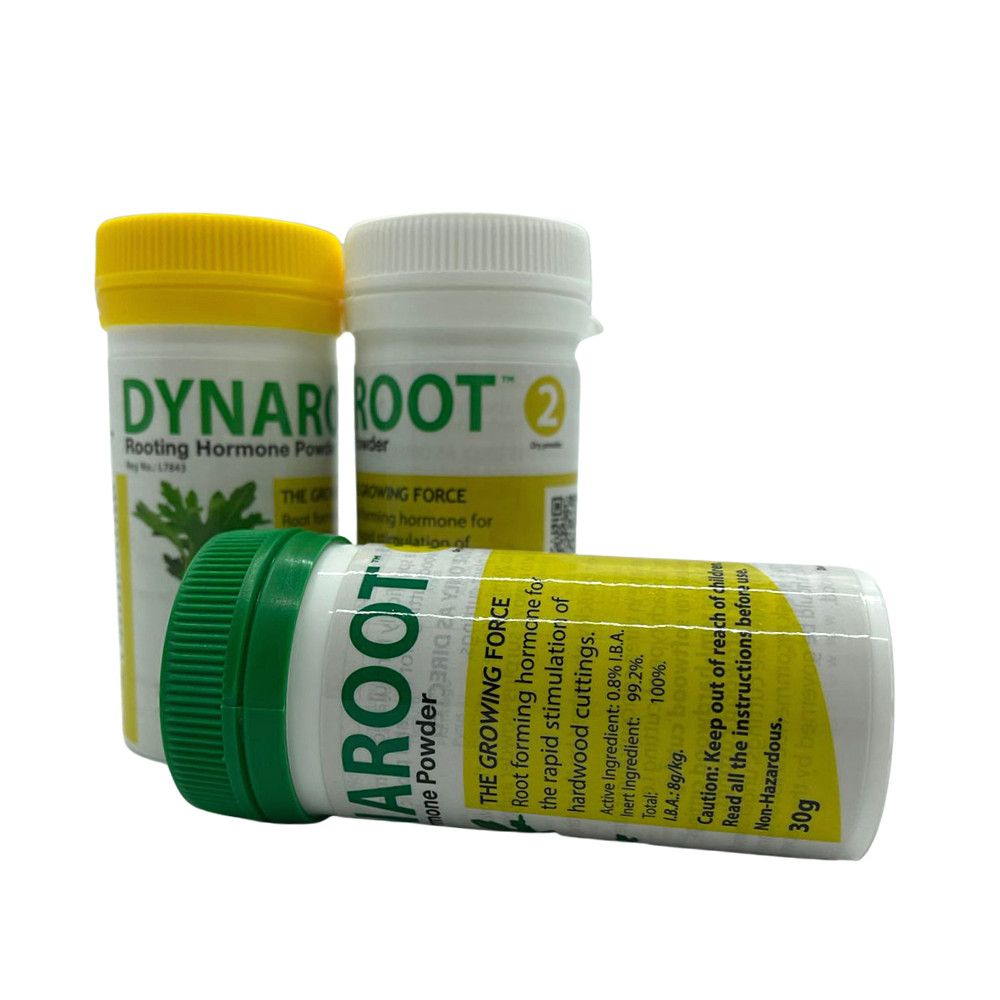 DynaRoot Powder