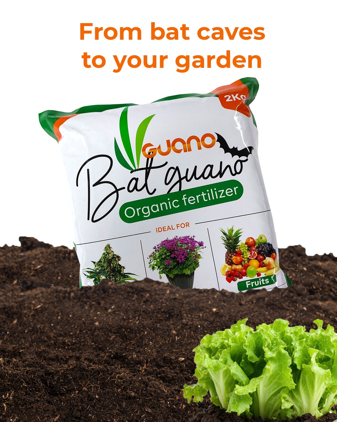 Bat Guano Organic Fertilizer – 2Kg Bag 2