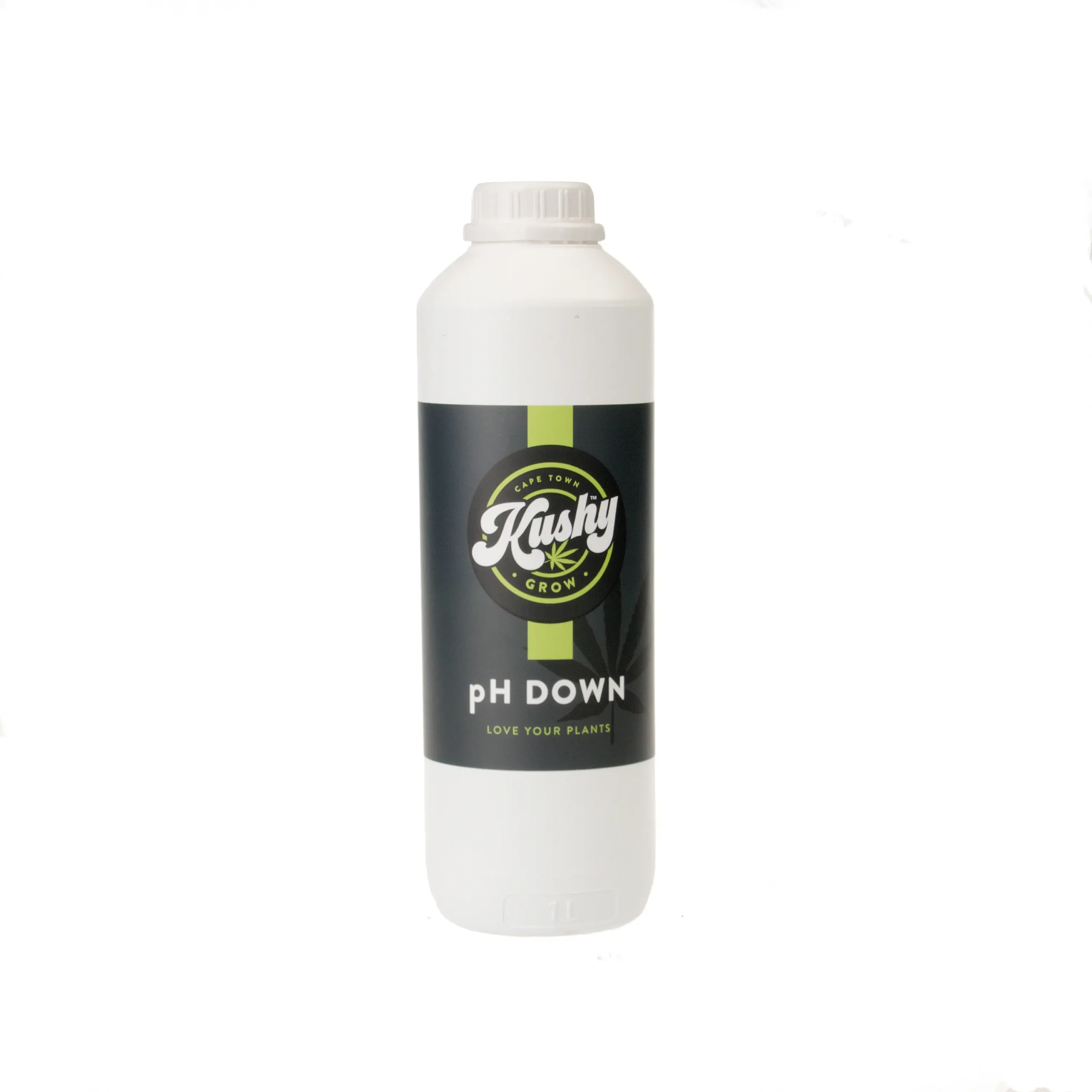 ph-down-1l
