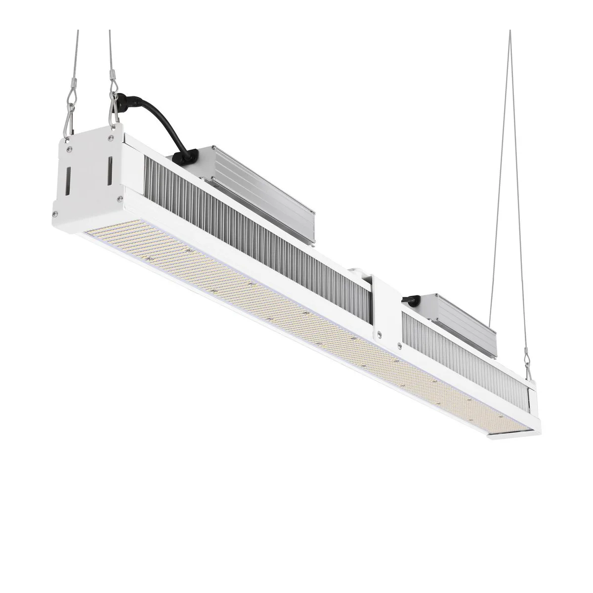 Microgreens System